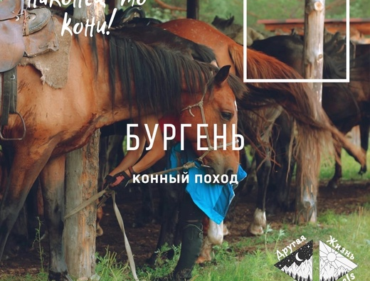 Конный поход…